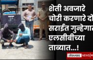 शेती अवजारे चोरी करणारे दोन सराईत गुन्हेगार एलसीबीच्या ताब्यात