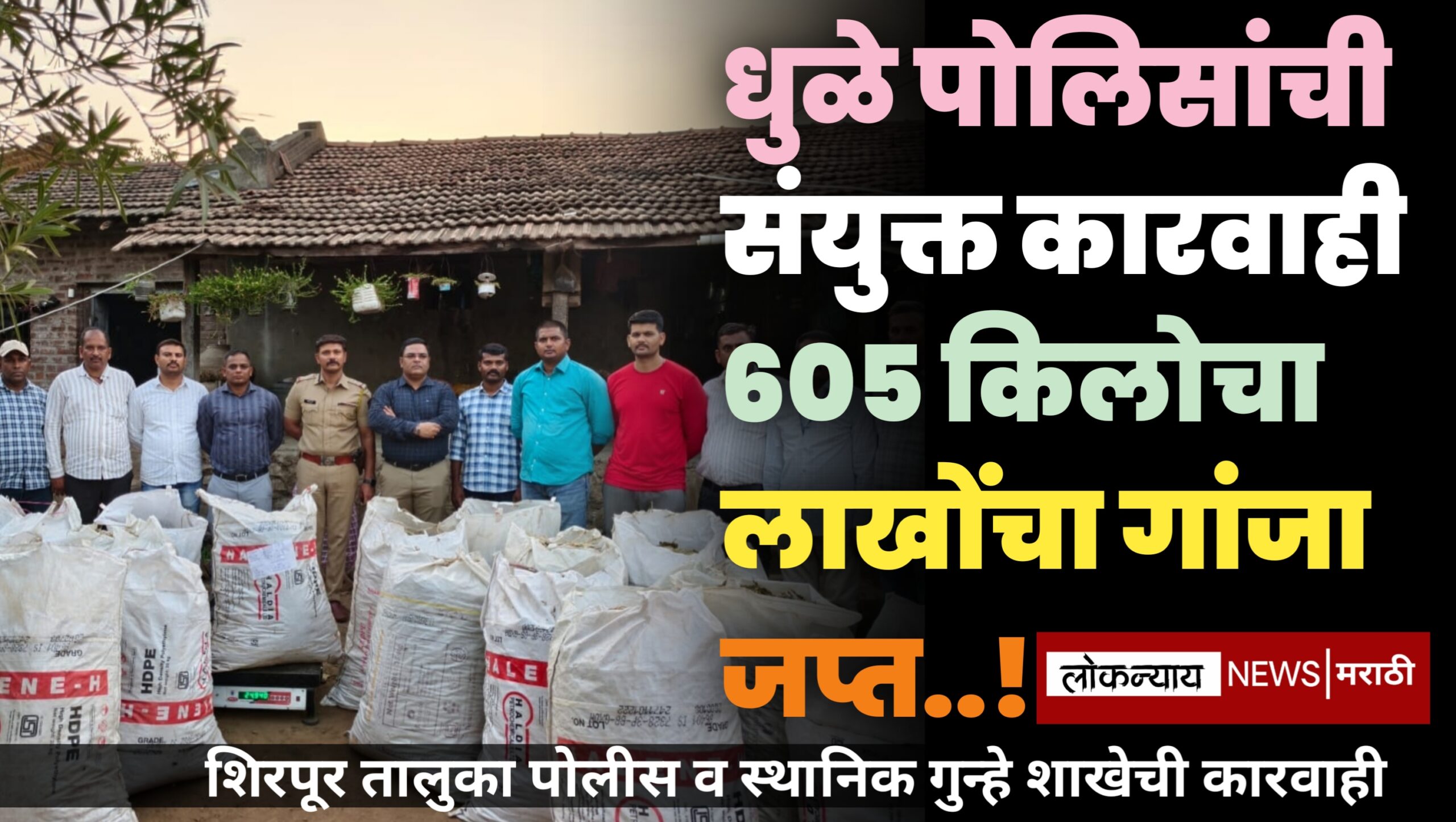 धुळे पोलिसांची संयुक्त कारवाही लाखोंचा गांजा जप्त