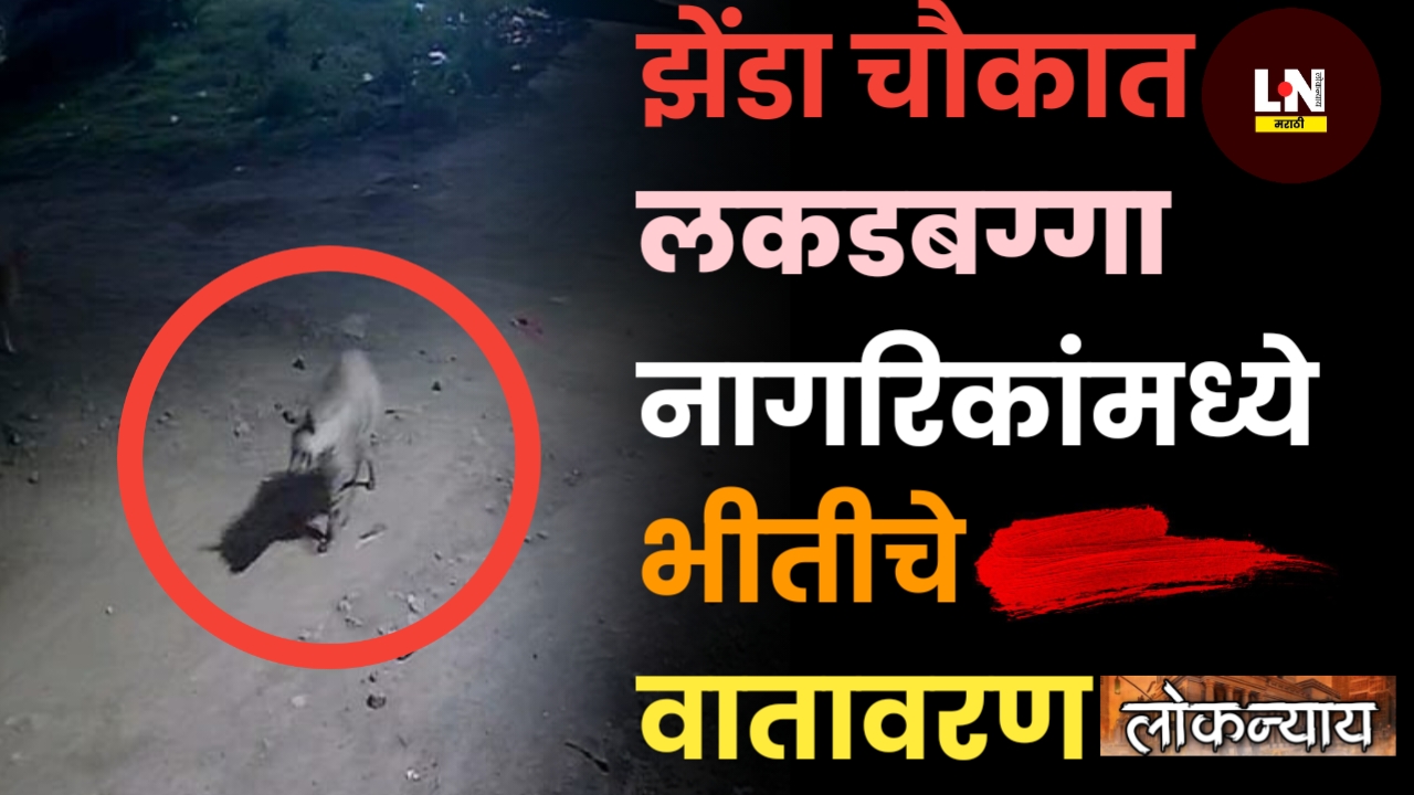 झेंडा चौकात लकडबग्गा नागरिकांमध्ये भीतीचे वातावरण