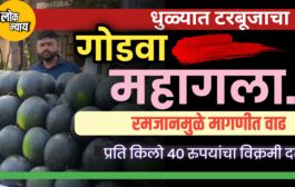धुळ्यात टरबूजाचा गोडवा महागला! रमजानमुळे मागणीत वाढ; प्रति किलो ४० रुपयांचा विक्रमी दर